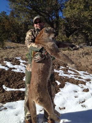 Kent Woinarowicz booked a late season 5 day New Mexico bull elk hunt with H&A Outfitters, Inc. and had the option of purchasing a mountain lion license just in case we cut a track and we did and this is the result - a mature tom lion weighing around 125 - 130 lbs. rough estimation. Congratulations Kent!